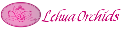 Lehua Orchids Logo
